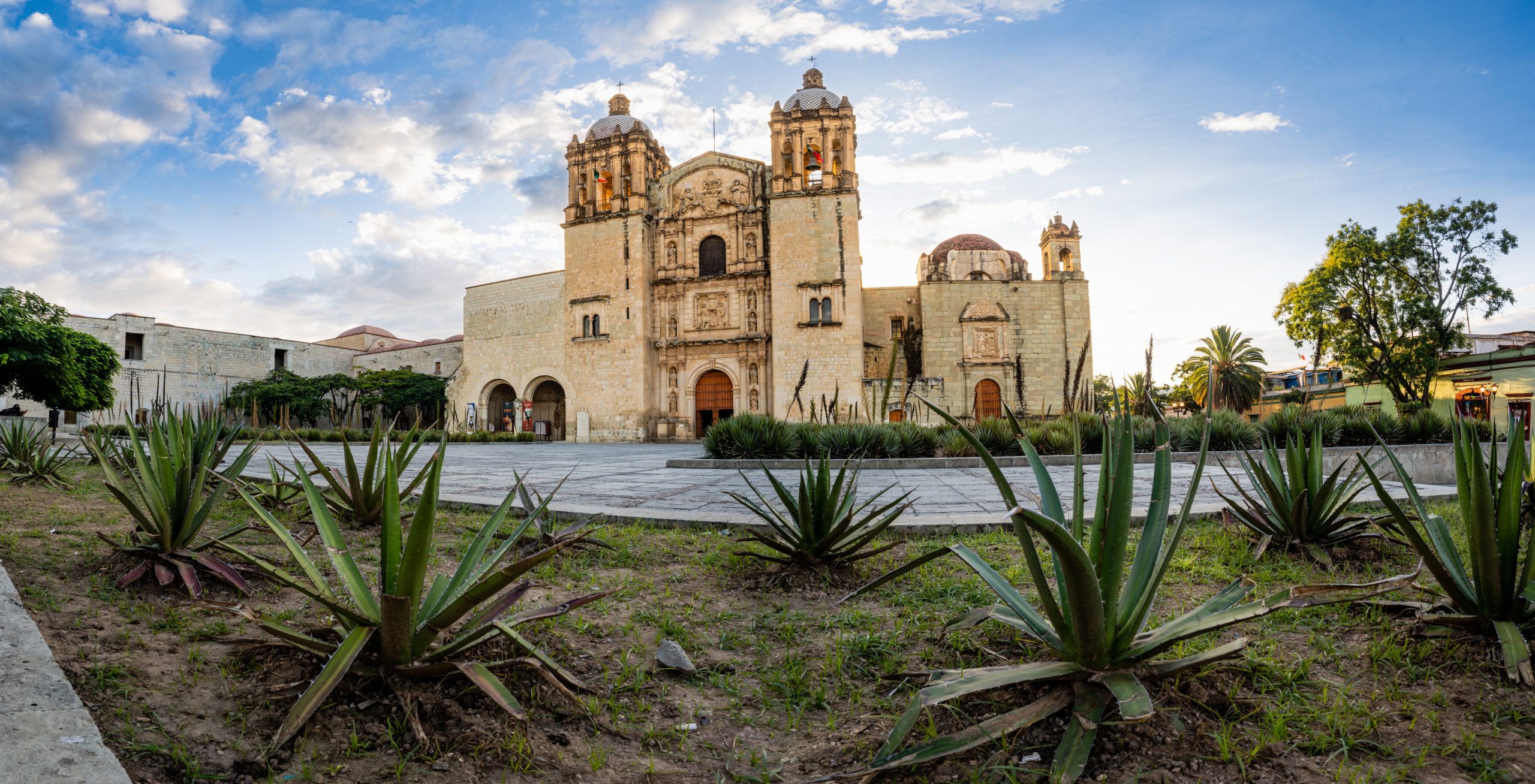 A breathtaking panoramic photograph of Santo Domingo Church and Convent in Oaxaca, taken from a low angle among the agave plants in front of the atrium. The morning sun shines brilliantly behind the church, casting a warm and divine glow over the scene. This striking image captures the beauty, history, and spirituality of the church and convent, making it a perfect addition to any collection of Oaxacan or religious photography.
